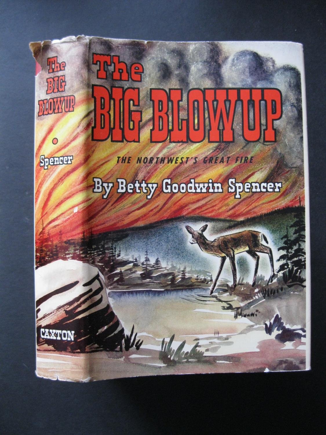 The big blowup (book cover)