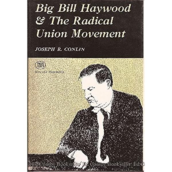 Big Bill Haywood and the radical union movement (book cover)