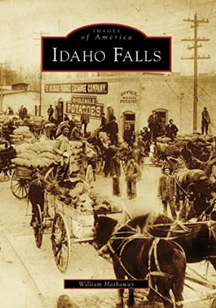 Idaho Falls (book cover)