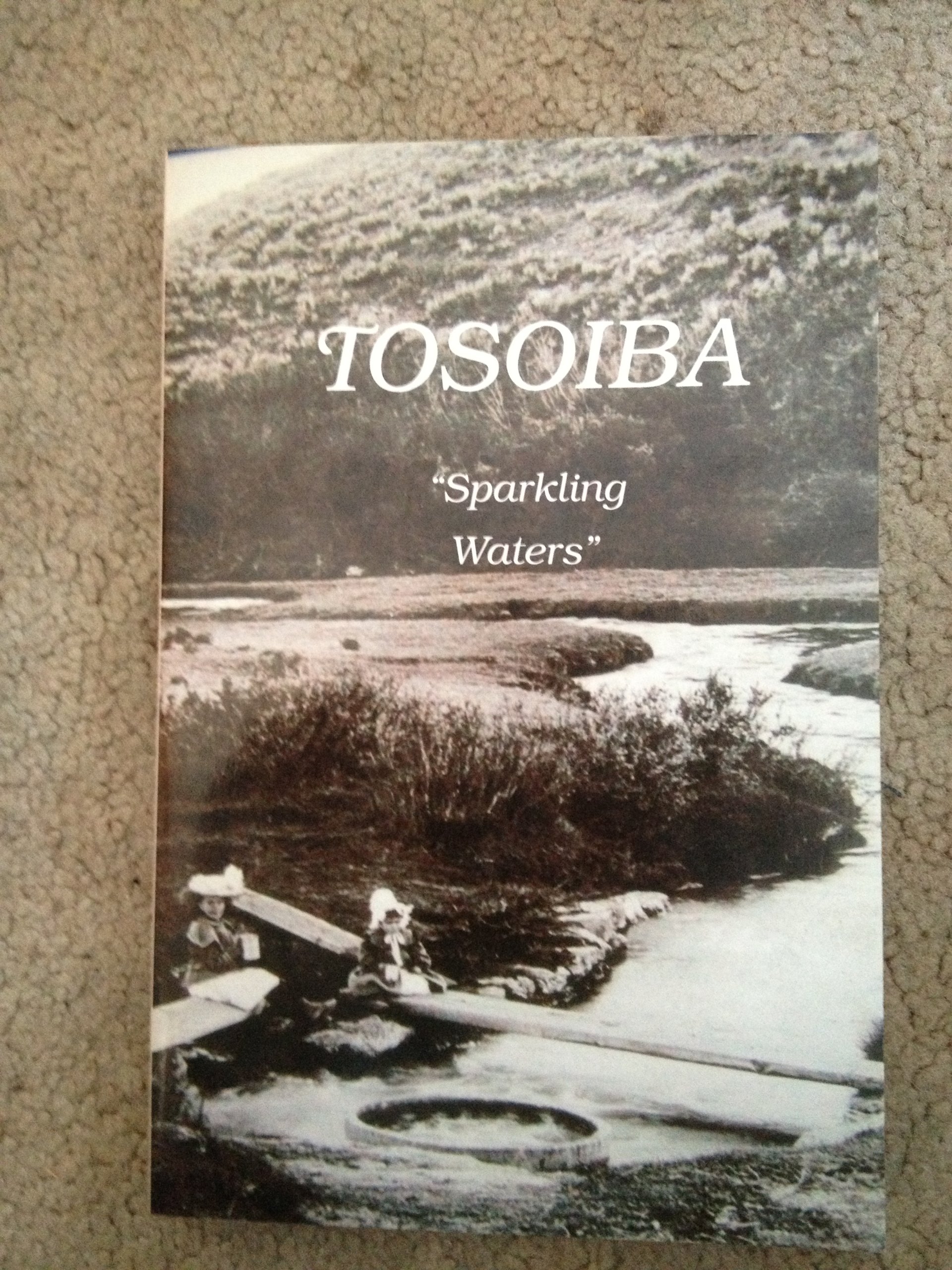 Tosoiba (book cover)