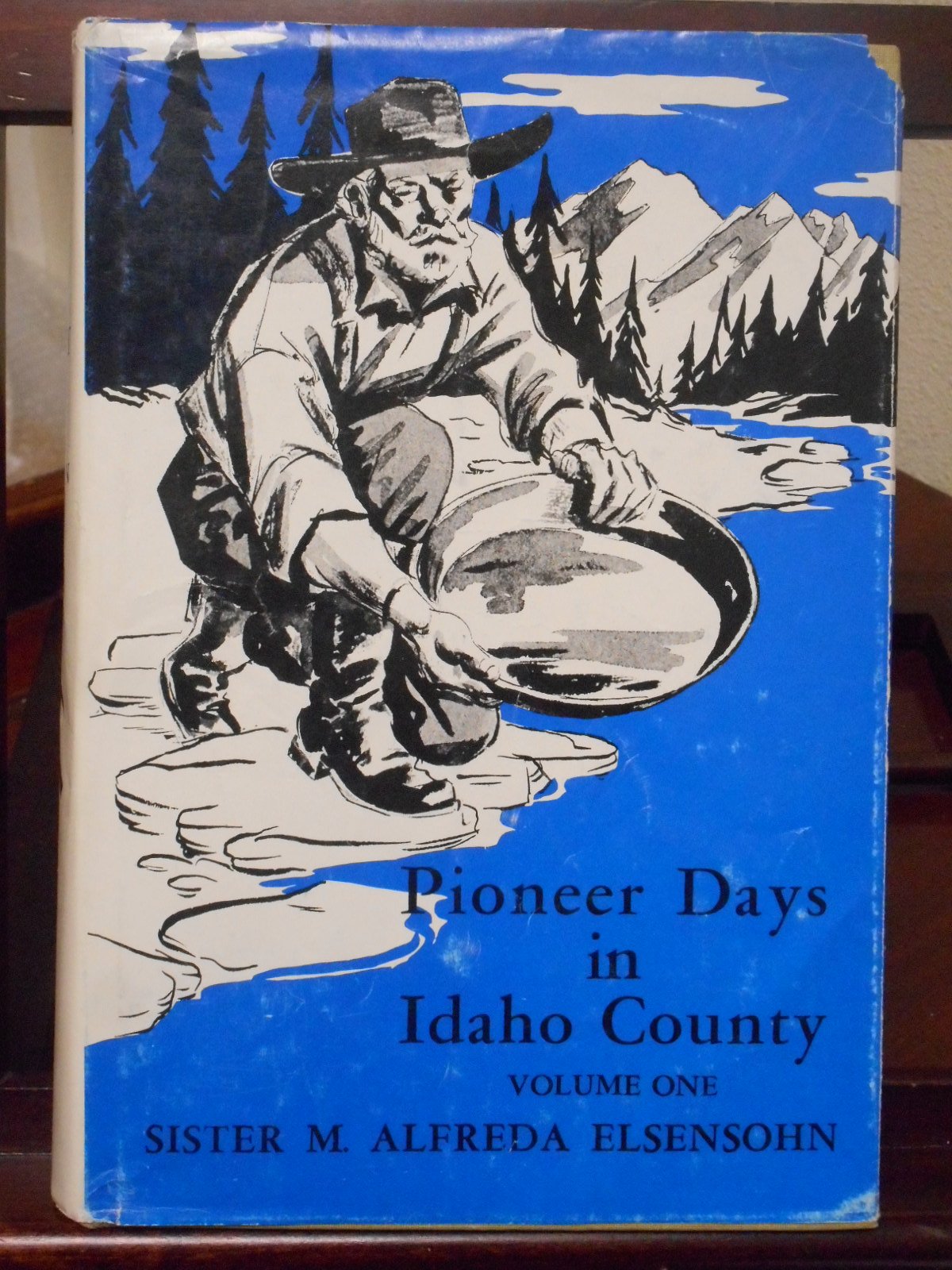 Pioneer days in Idaho County (book cover)