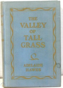 The valley of tall grass
