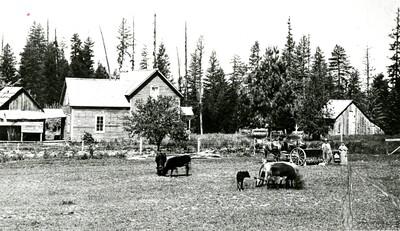 Texas Ridge and Femreite family