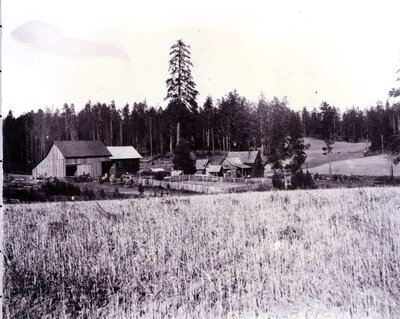Axtell place at Stanford