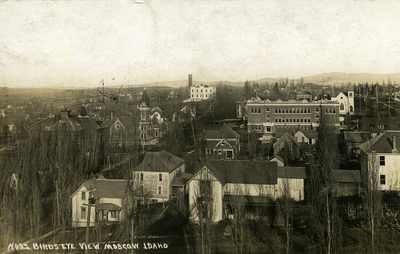 No. 22 Birds Eye View of Moscow, Idaho