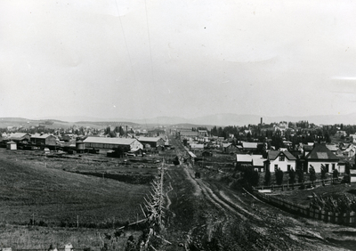 View of Moscow, Idaho from the south, 1910
