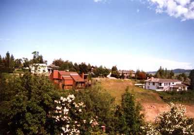 A view of Moscow, Idaho residences looking east