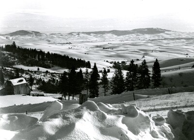 A view of the palouse covered in snow near Moscow, Idaho