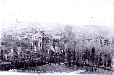 No. 24 Birds eye view business section Moscow, Idaho