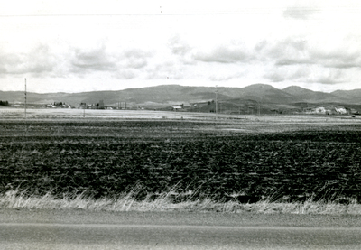 East of Moscow, Idaho looking north