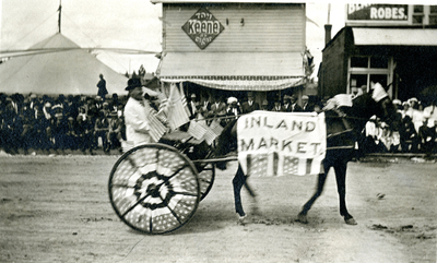 Horse Cart Advertising