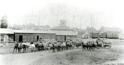 Teams with Wheat Sacks on Wagons