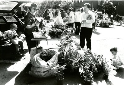 Plant Selling at Farmer's Market