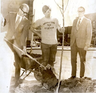 Tree Planting on Second Street