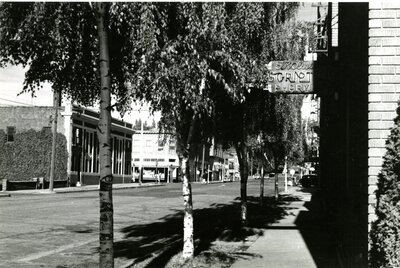 South side of 3rd Street, Jackson to Main
