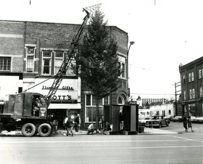 Christmas Tree on Main Street