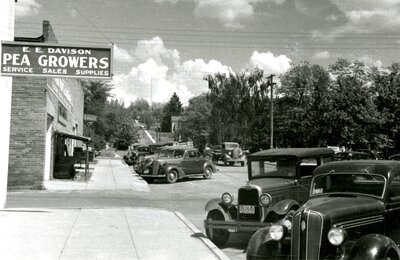 E.E. Davison Pea Growers