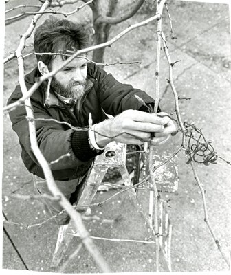 Decorating Main Street