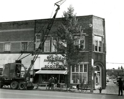 Community Christmas Tree