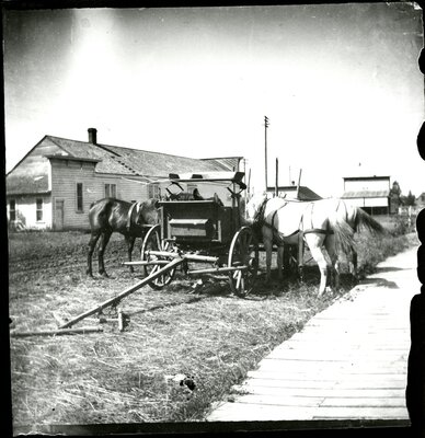 Muddy and Hay Covered Main Street