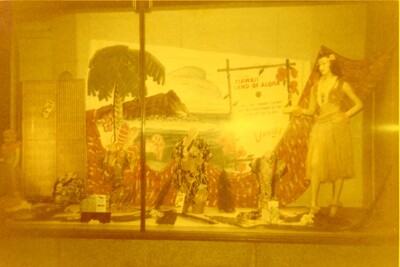 Davids' Store Display Window