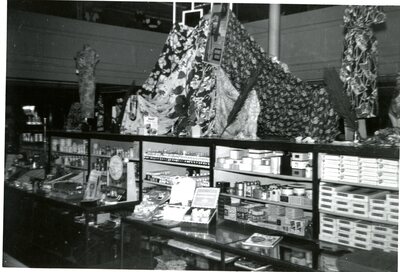 Davids' Store dry goods