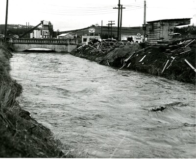 Paradise Creek near flood stage