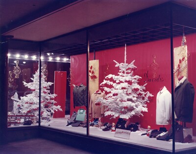Davids' Store Christmas display window