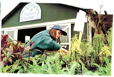 Theresa's Garden nursery