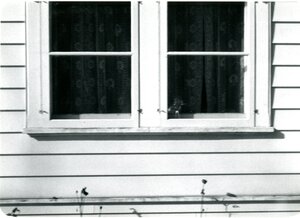 McConnell Mansion Cracked Window