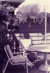 Hamilton garden, patio