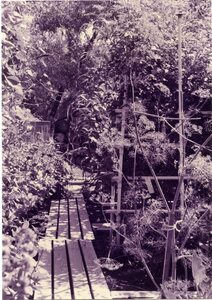 Hamilton vegetable garden