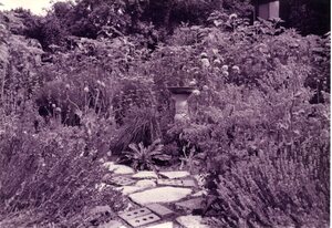 Teresa Brewer's garden