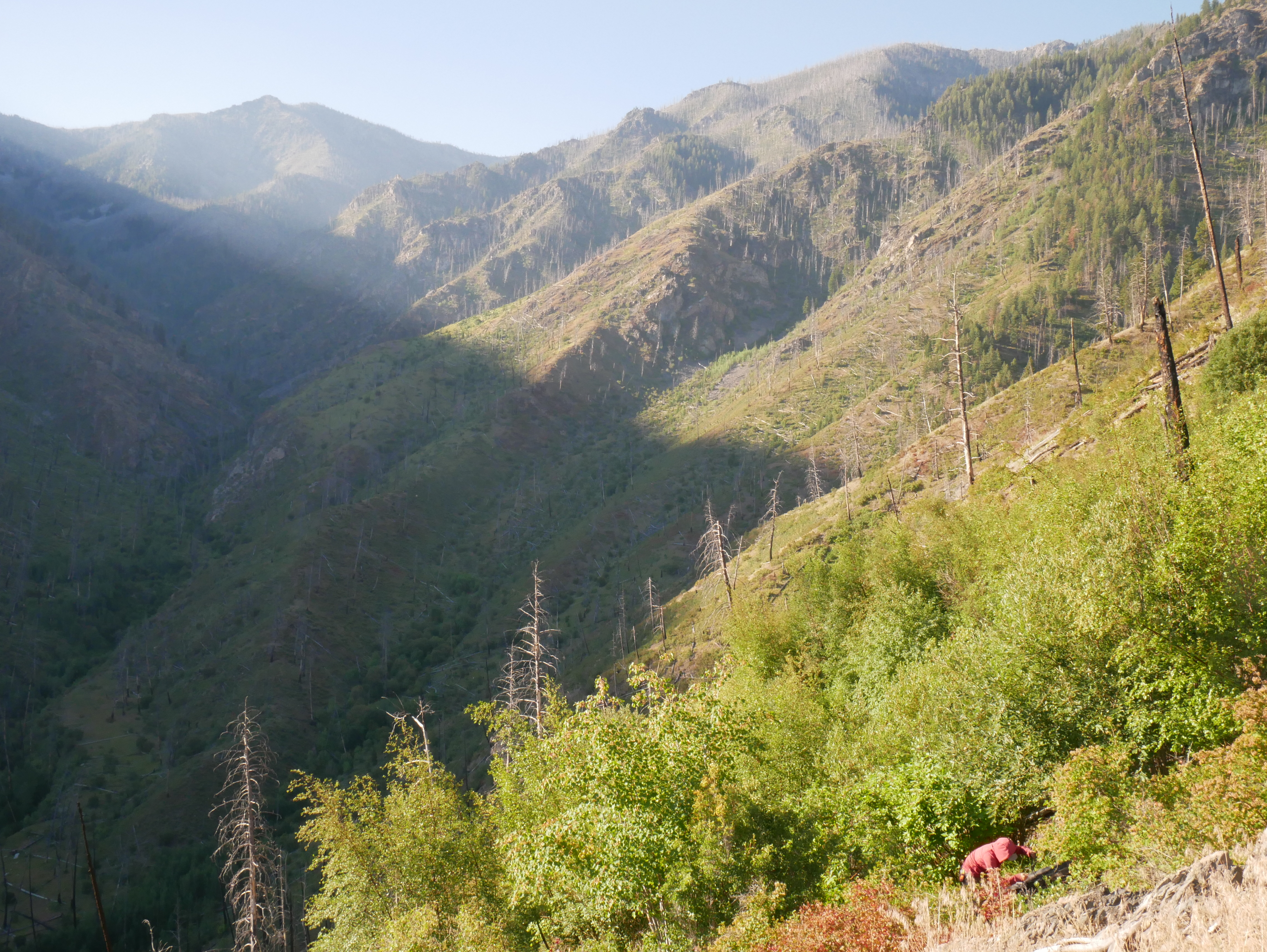 Photograph of mountains above Taylor Wilderness station with loan researcher in red in picture
