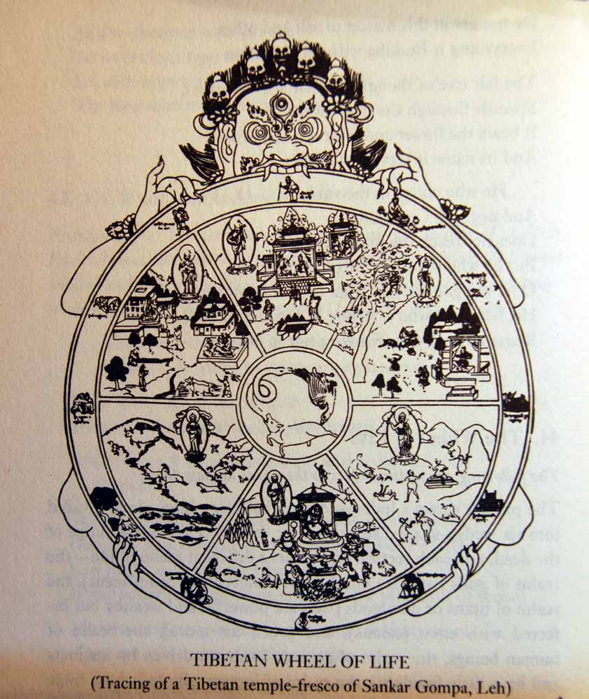 Wheel Of Life Buddhism