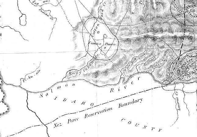 lowerlgoldfield.jpg (90178 bytes)