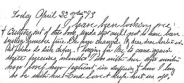 wpe5.jpg (35183 bytes)