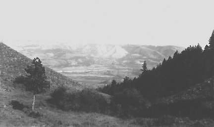 63.221.19.jpg (24306 bytes)