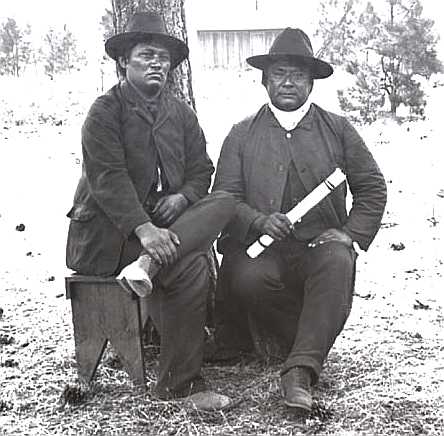 63.221.86.jpg (67434 bytes)