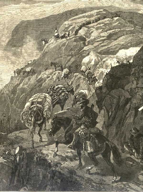 deadmule.jpg (88230 bytes)