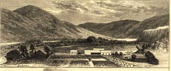 harper2.jpg (25267 bytes)