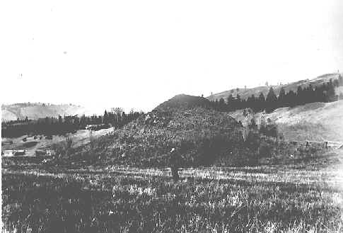 hearto1.jpg (20033 bytes)