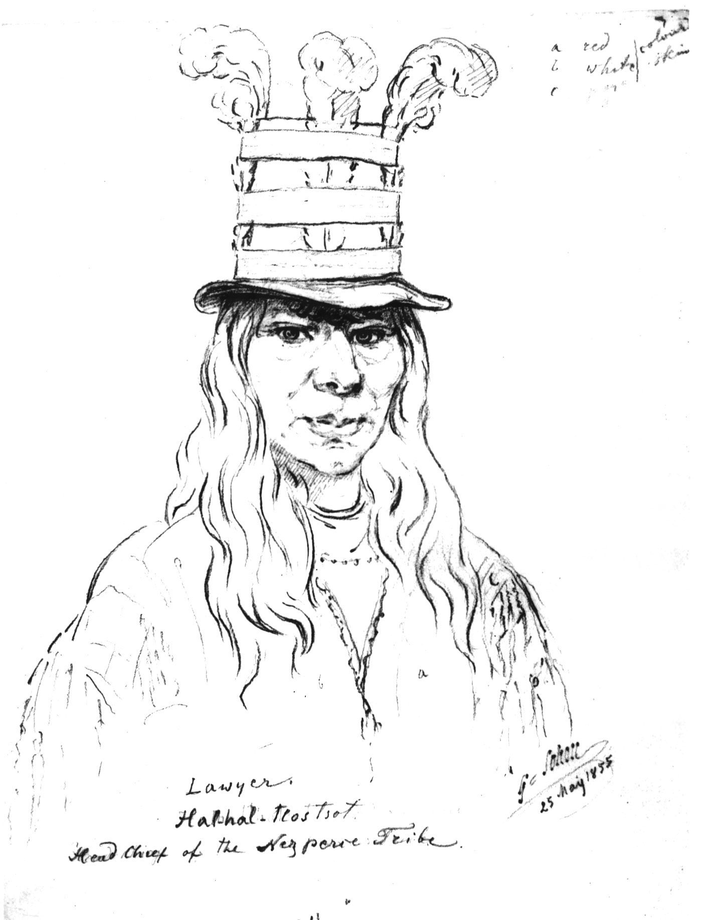 lawyer.jpg (209202 bytes)