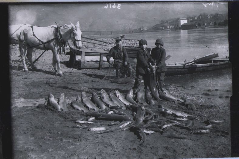 Photo: Boys with fish.